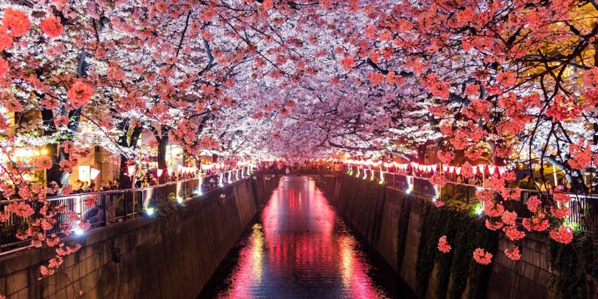 Warner Bros. Dune 3 İçin Tarih Verdi: 2026’da Vizyonda